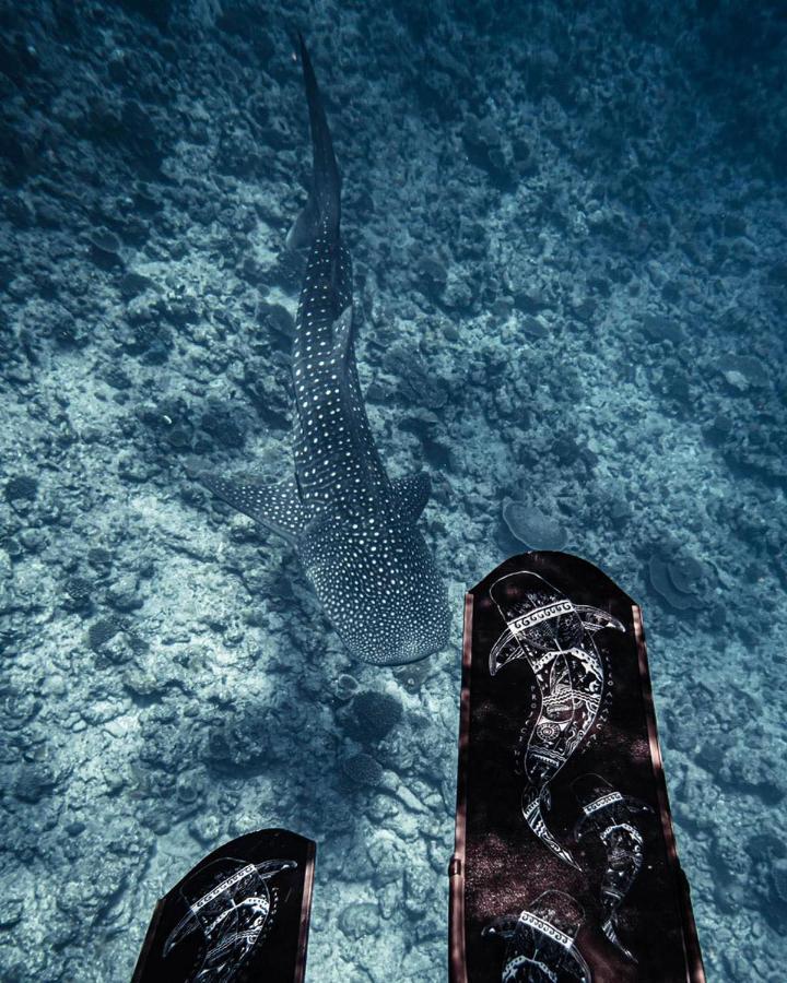 Oceana Boutique Hotel Maafushi Bagian luar foto